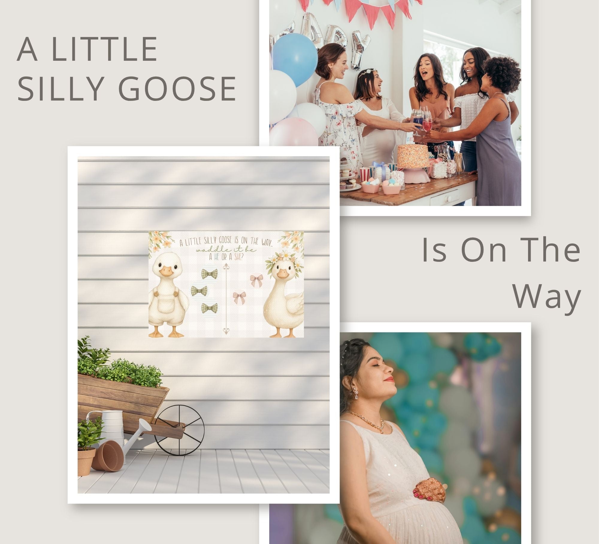 Gender Reveal Bundle