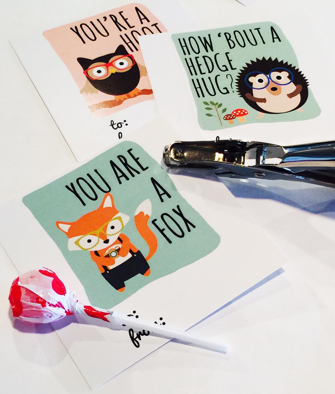 Woodland Forest Friends Hipster Themed Valentine's Day Cards (24 Included) Classroom Exchange Sharing Kids School