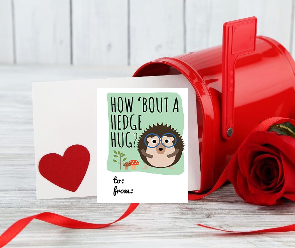 Woodland Forest Friends Hipster Themed Valentine's Day Cards (24 Included) Classroom Exchange Sharing Kids School