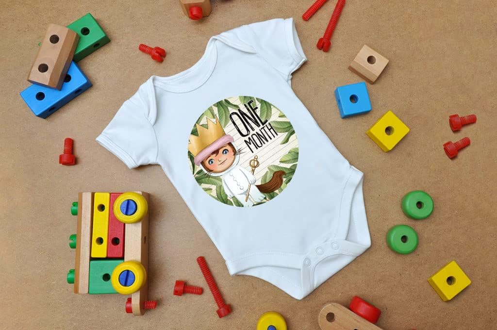 Darling Wild One Monster Character Themed Baby Milestone Stickers (Set of 18) Photo Prop Keepsake