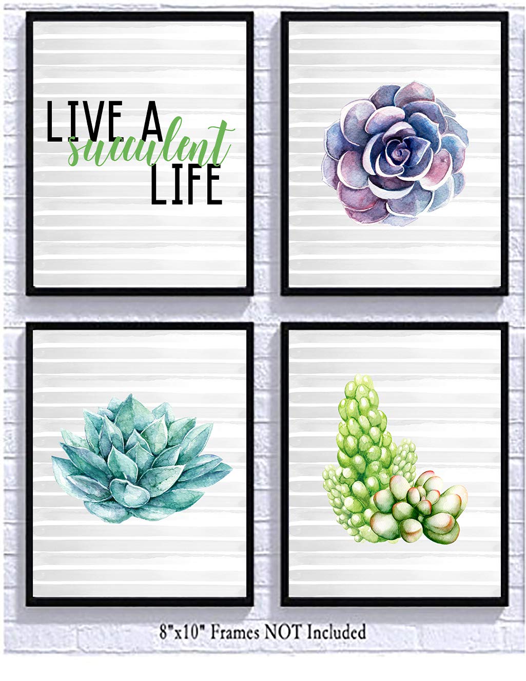Live a Succulent Life Wall Art Decor (Set of Four) Beautiful Decoration Grey Background