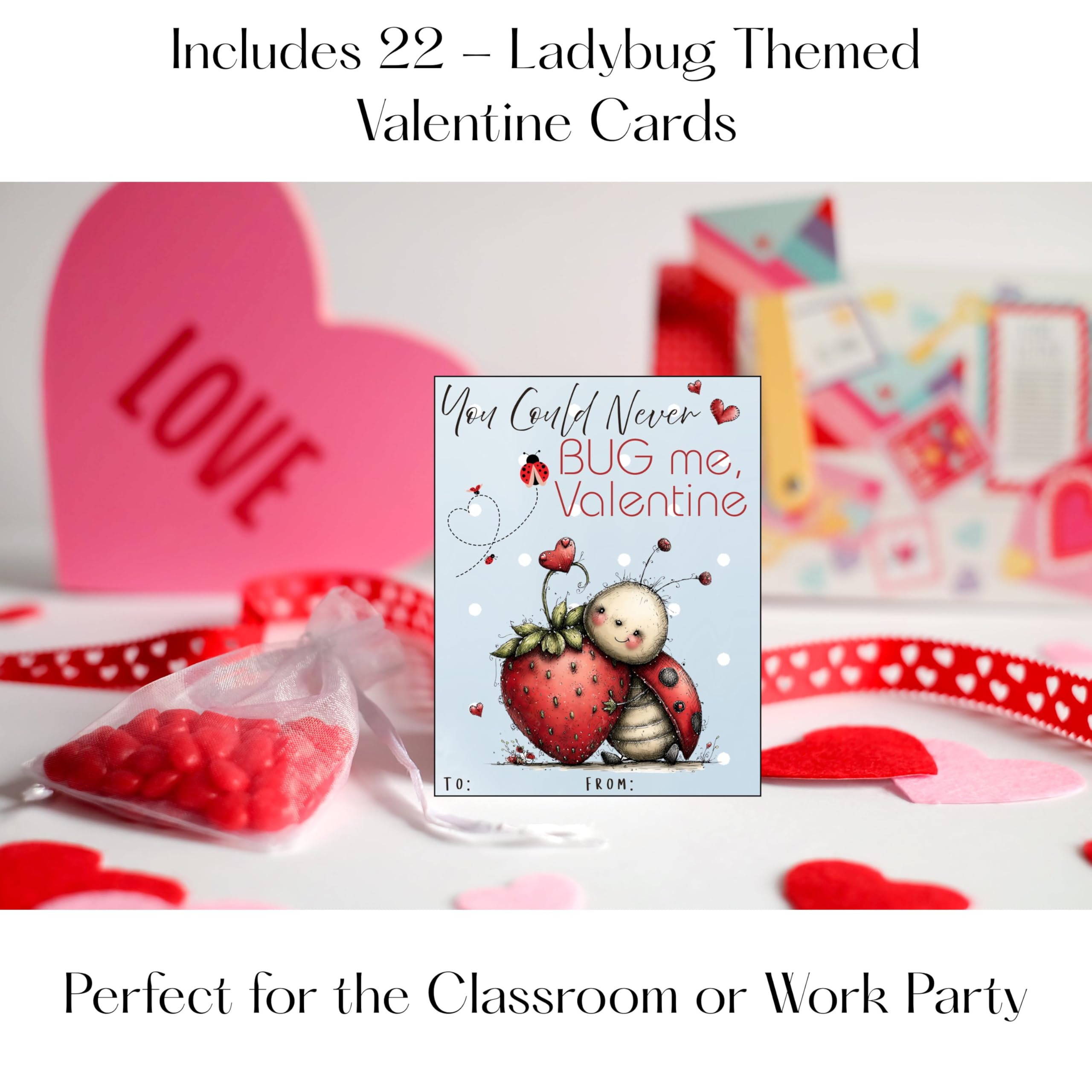 Darling Lady Love Bug Valentine Day Classroom Sharing Cards (Set of 24) Valentine's Party Exchange