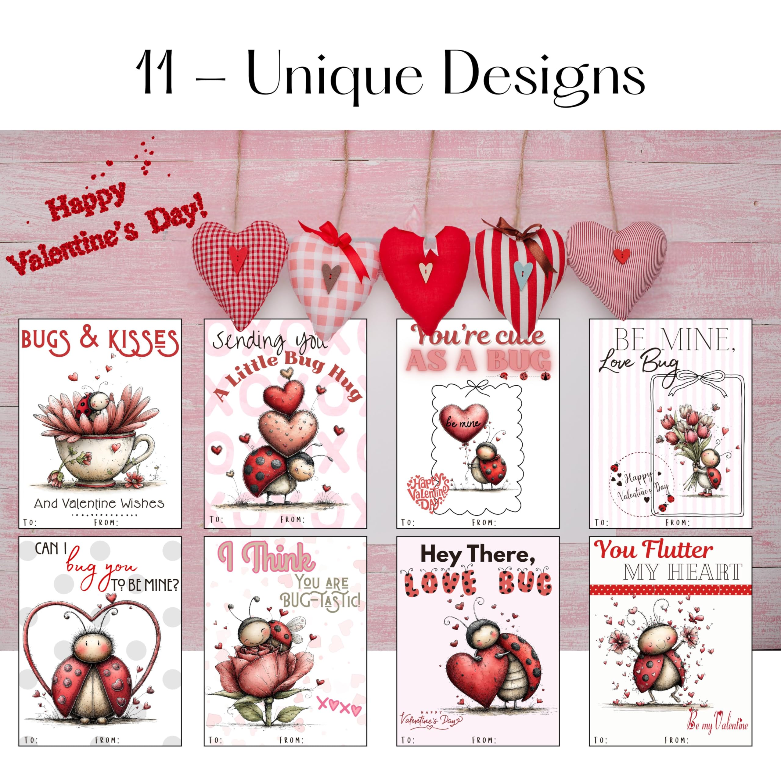 Darling Lady Love Bug Valentine Day Classroom Sharing Cards (Set of 24) Valentine's Party Exchange
